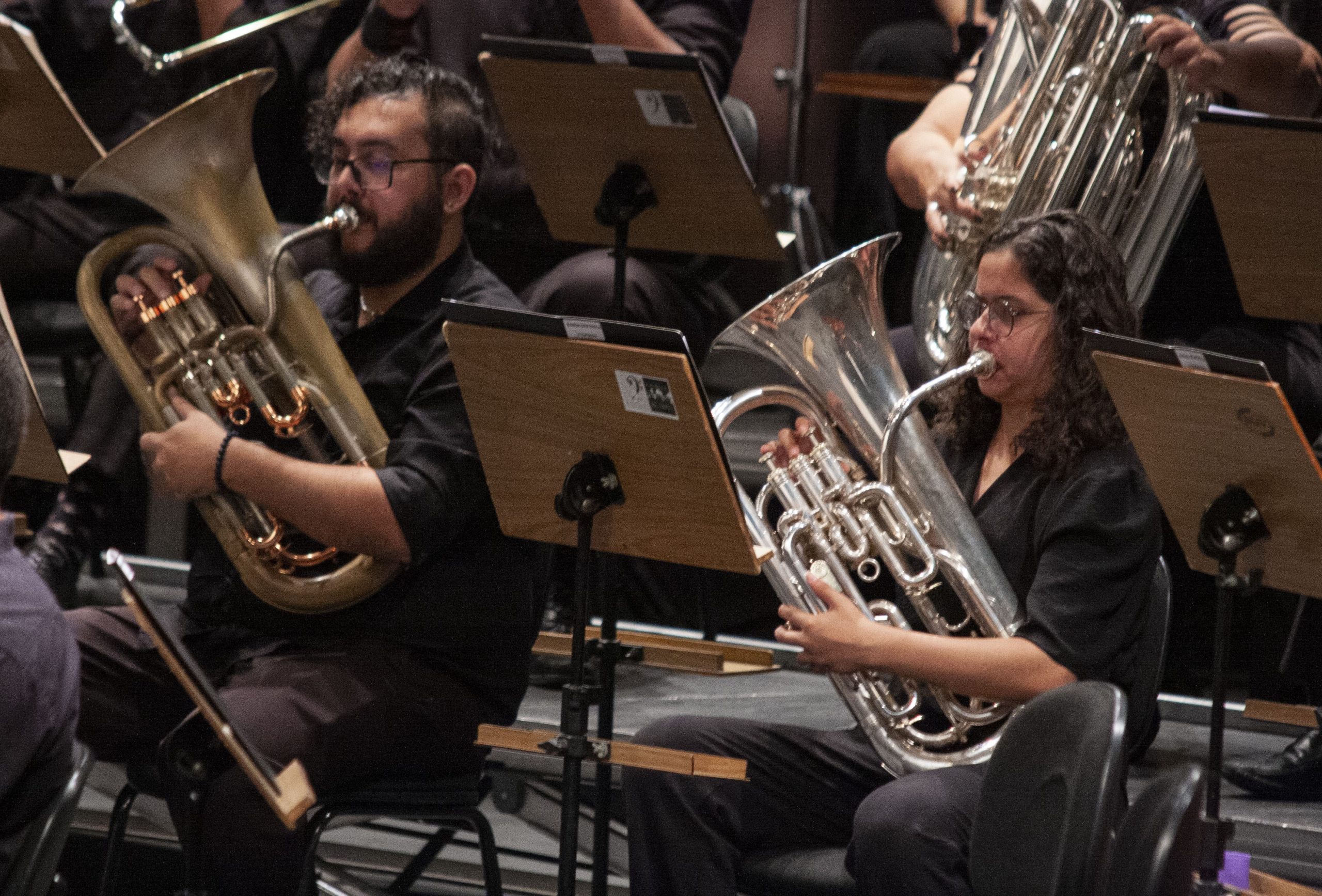 Aula de eufônio online