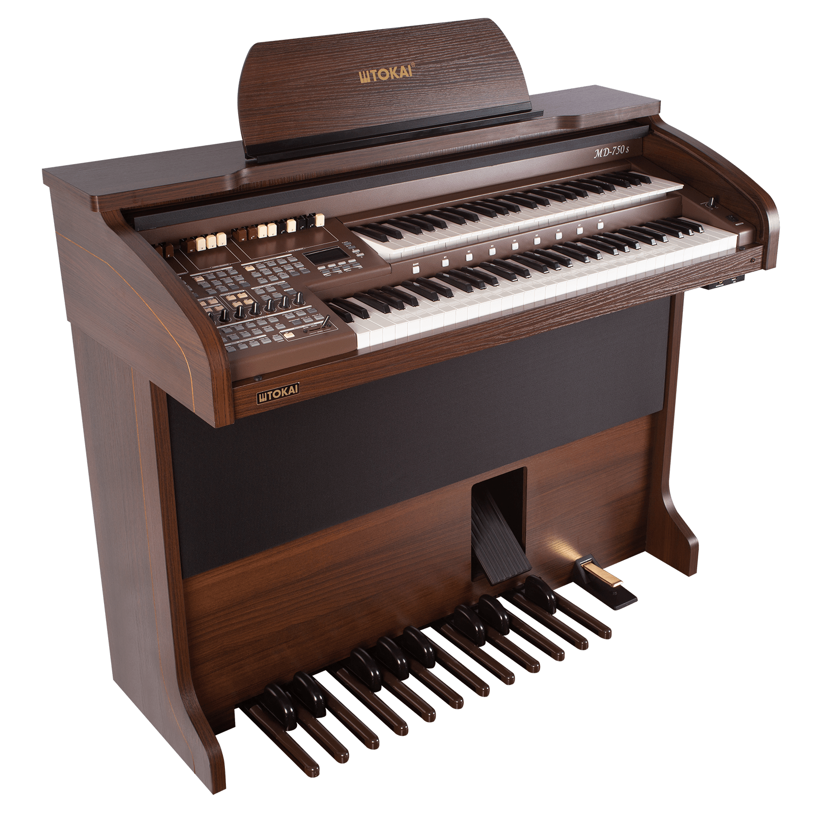 Aula de órgão online